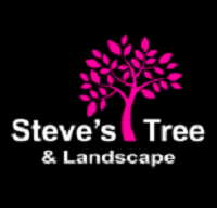 Steve''s Tree and Landscape