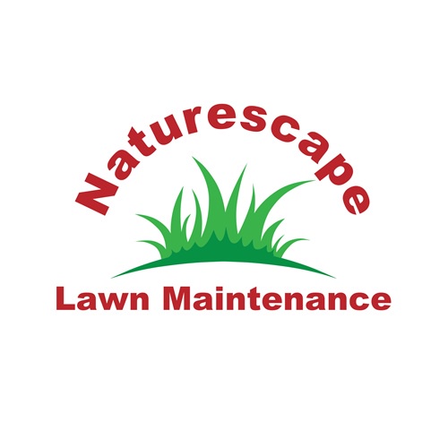 Expert Lawn Care Services in Albany